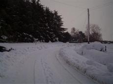 Mannoch Hill Cottage Huntly (Scotland)