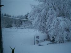 Mannoch Hill Cottage Huntly (Scotland)