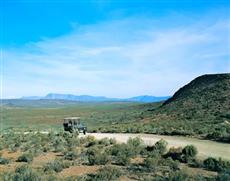 Sanbona Wildlife Reserve - Tilney Manor, Dwyka Tented Lodge, Gondwana Lodge