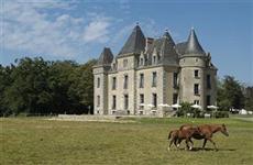 Domaine De Brandois Hotel La Mothe-Achard