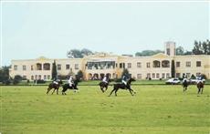 Resort De Campo Y Polo Lujan