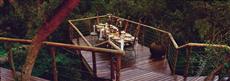 Tsala Treetop Lodge