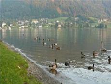 Seeblick Pension Steindorf am Ossiacher See