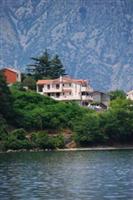 Hotel Galia Kotor