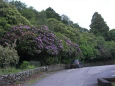 Aberdunant Hall Country Hotel Porthmadog