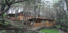 Aamod Resort Shoghi