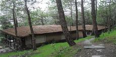 Aamod Resort Shoghi