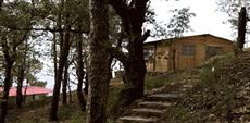 Aamod Resort Shoghi