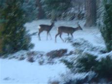 The Glen Lui Hotel Ballater