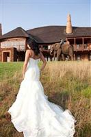 Askari Game Lodge Magaliesburg