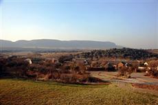 Askari Game Lodge Magaliesburg