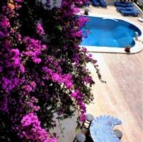 Villa Sultan Mosaicci Art Hotel Kalkan