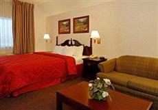 Comfort Inn Elko