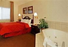 Comfort Inn Elko