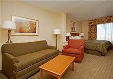 Comfort Suites Univ. of Phoenix Stadium Area