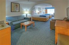 Holiday Inn Express Hotel & Suites Carlsbad