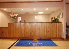 Comfort Inn Blue Springs