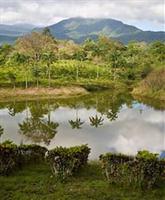 La Anita Rainforest Ranch Lodge Liberia