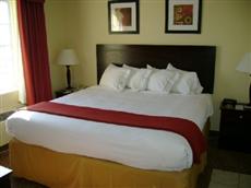 Holiday Inn Express Alcoa (Knoxville Airport)