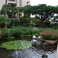 Sands of Kahana Resort Lahaina