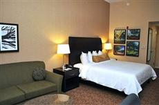 Hilton Garden Inn Saint Louis Airport Berkeley (Missouri)