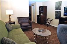 Hilton Garden Inn Saint Louis Airport Berkeley (Missouri)