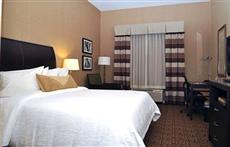 Hilton Garden Inn Saint Louis Airport Berkeley (Missouri)