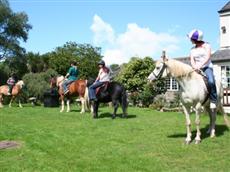 Great Trethew Manor Country Hotel