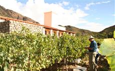 Cafayate Wine Resort