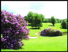 Barcelo Shrigley Hall Hotel