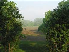 The Connecticut River Valley I