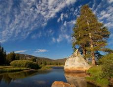 Yosemite Riverside Inn