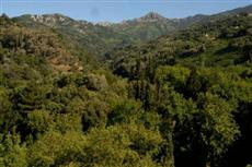 Daphne Hotel Platanakia