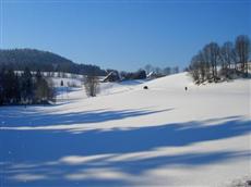 Hotel Pension Thome Hinterzarten