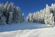 Dorfhotel Schnablwirt Going am Wilden Kaiser