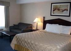 Comfort Inn Mississauga