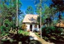 Pine Ridge Lodge Belize