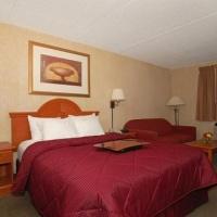 Comfort Inn University Amherst (New York)