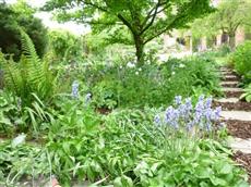 A Lakeside Town Farm B & B Kingston Blount