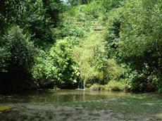 Locanda del Cigno Nero