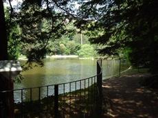 Locanda del Cigno Nero