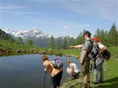 Gasthof Pension Lechner St. Johann im Pongau