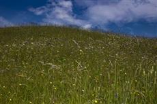 Bergmähder Pension Lech am Arlberg