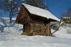 Gastehaus Freitag