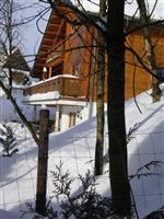 Ferienwohnung im Harz-Haus Antje Bruns Clausthal-Zellerfeld