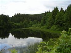 Ferienwohnung im Harz-Haus Antje Bruns Clausthal-Zellerfeld