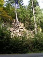 Ferienwohnung im Harz-Haus Antje Bruns Clausthal-Zellerfeld