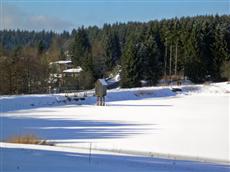 Ferienwohnung im Harz-Haus Antje Bruns Clausthal-Zellerfeld