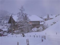 Chalet Am Taellenbach Grindelwald