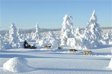 Guesthouse Husky